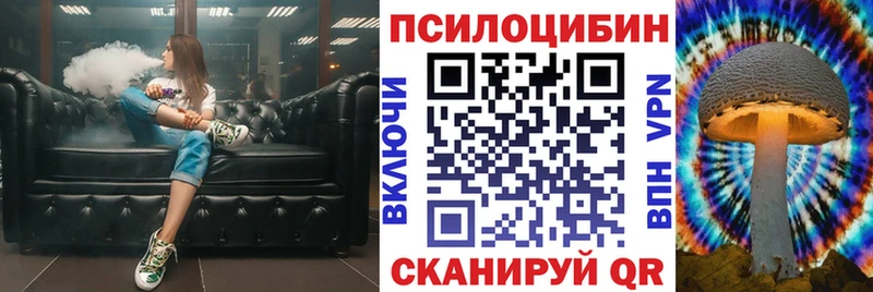 Псилоцибиновые грибы Cubensis  Купить закладки  Зерноград 