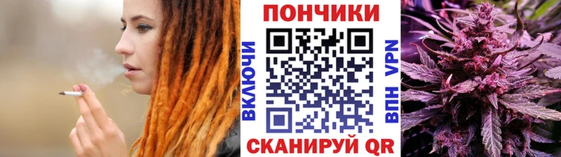Купить закладки  Зерноград  Шишки марихуана конопля 